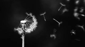 Севак Ханагян-Беги