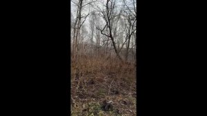 Видеообзор СНТ Солнышко