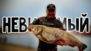 трофеии глубин: Подводная охота и отличный улов.