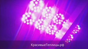 Теплица с оборудованием для продления сезона