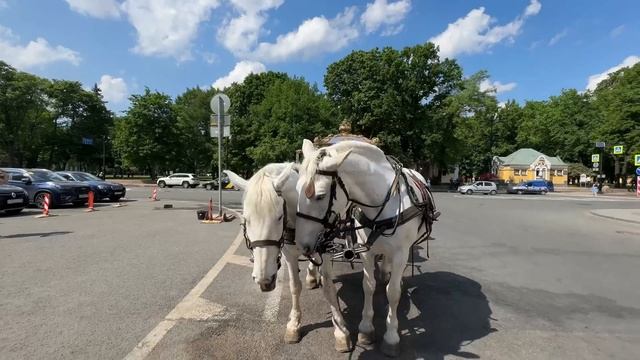 Питер. Это лето! НЕЭКСКУРСИЯ!