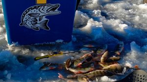 ЭКСТРЕМАЛЬНЫЙ ПЕРВЫЙ ЛЁД 2024-2025.ЛОВЛЯ ОКУНЯ НА БЕЗМОТЫЛКУ,ОТКРЫТИЕ СЕЗОНА.