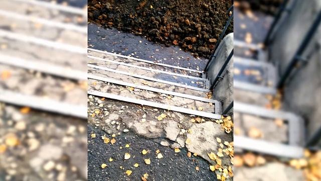 Гиперплазия-2. "В прокуратуре надо мной вежливо смеялись"