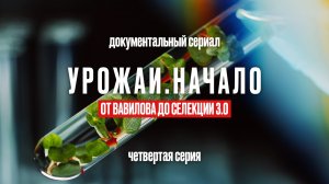 От Вавилова до селекции 3.0 | Серия 4 | Документальный сериал УРОЖАИ . НАЧАЛО