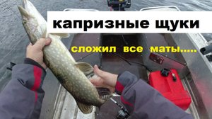 Концентрация щуки в определенных точках. Как подобрать воблер. Тихие и шумные. Размер приманки.