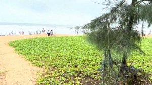 Santana Beach Resort Goa Review| Best Hotel to Stay in Candolim| Goa Vlog 2022