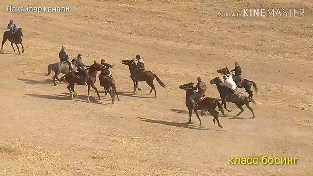 Бузи калон ва охири дар дехаи хочибои (Катта улок хожибой кишлогида) смотреть онлайн