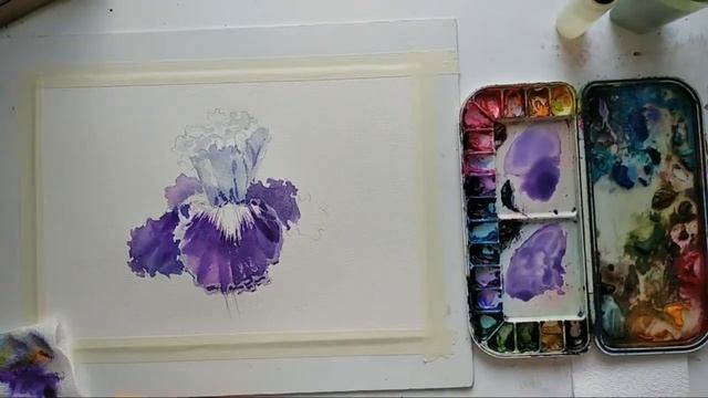 Рисуем ирисы акварелью смотреть онлайн