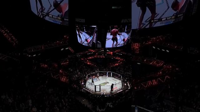 Вертушка Костлявого. Как Джонс нокаутировал Миочича на UFC 309