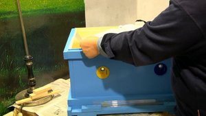 Улей Волгарь 16 рамок на пасеке у родника. Пчеловодство.