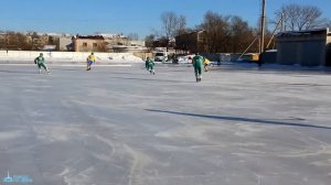 Хоккей с мячом
