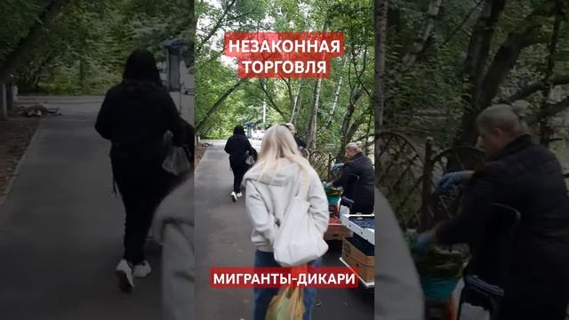 МИГРАНТЫ-ДИКАРИ И НЕЗАКОННАЯ ТОРГОВЛЯ