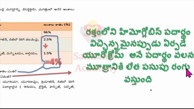 Scert ts worksheets with answers telugu10th biology 4th lesson excretion total 12 worksheets смотреть онлайн