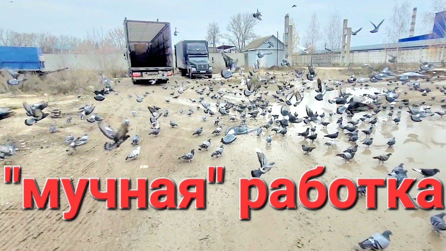 Зафарчмашил весь кузов 🤦#газоннекст