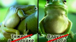 Мотилиум | Возьмись за ум  - прими Мотилиум