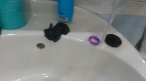 у собачек банный день🧋