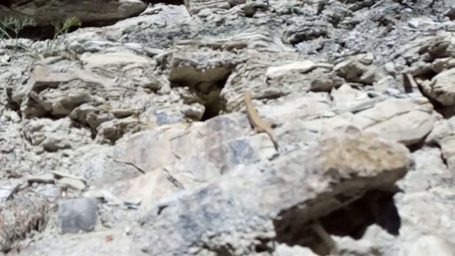 Новороссийск.водопады.29.06.2020. смотреть онлайн