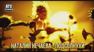 Подсолнухи _ ПРЕМЬЕРА 2024 -
музыка Алёна Росс,
слова Алёна Росс