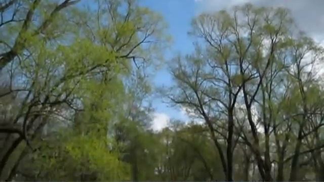 Газова Лидия Викторовна «Весна» смотреть онлайн