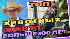 Топ 5 домашних животных, которые живут дольше всех