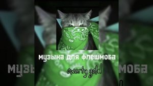 музыка для флешмоба||песни с тт||speed songs