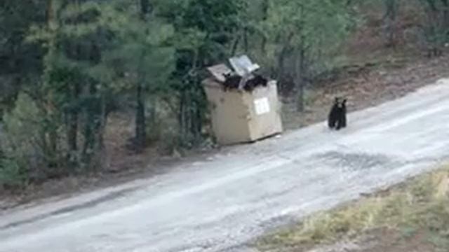 Делай добро - и убегай! смотреть онлайн