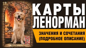 ЛЕНОРМАН | Значения и сочетания | 18. Собака