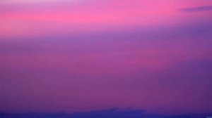 Calvin Harris - I Need Your Love (Lyrics)