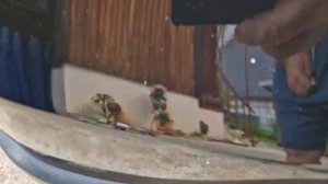 Красим бампер Honda cr-v краскопультом с Озона