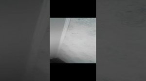 клёвое шоу часть 1