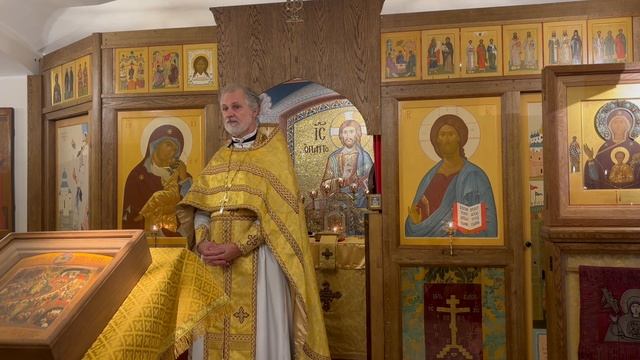 Проповедь прот. Валерия Буланникова 17 ноября 2024 г. на Собор святых бессребреников и чудотворцев
