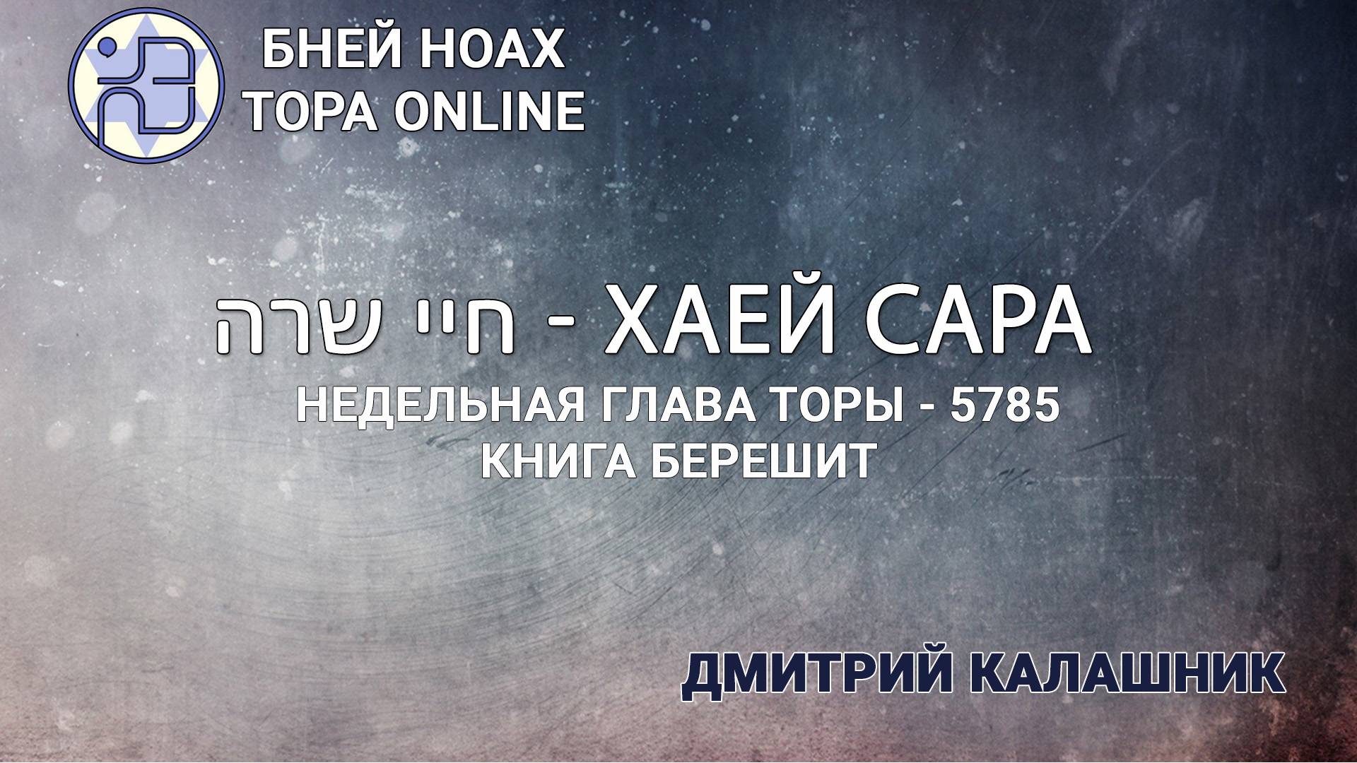 Недельная глава Торы - Парашат а-шавуа - "ХАЕЙ САРА" 5785/2024. Дмитрий Калашник