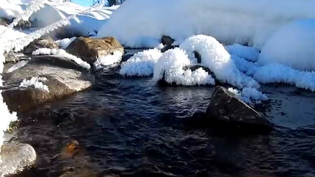 Не замерзающий ручей