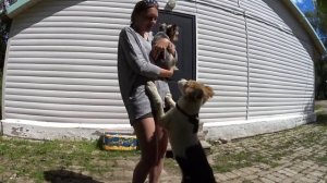 Деревня. Псковская область