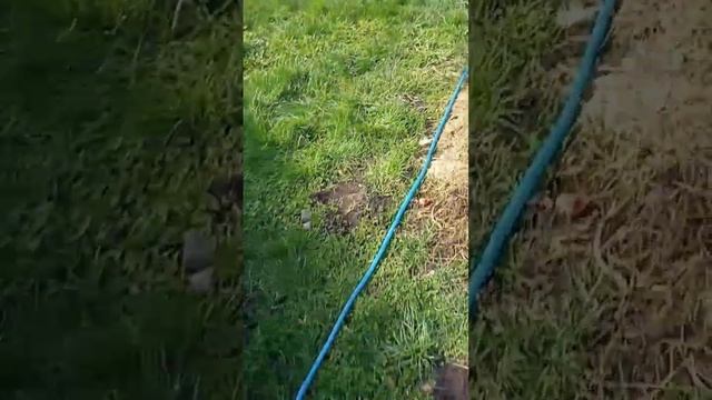 Откачка воды из сливной ямы смотреть онлайн