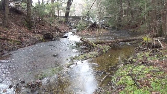 02. Весенние звуки воды. Гленбрук. Штат Нью-Гэмпшир.2024/04/13 смотреть онлайн