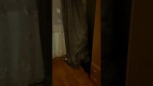 Ребенок в углу