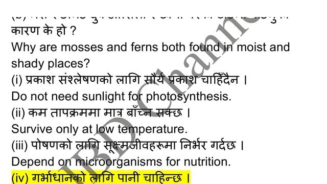 SEE Exam 2080 Model Question । SEE Exam 2080 Update । Class 10 Exam Update । JBD Channel ।। смотреть онлайн