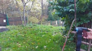 Гладкий ствол- отстрел на кучность МР-654.