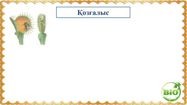 5 сынып. Жаратылыстану. Тірі ағзалардың сан алуандығы 2 сабақ