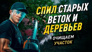 Очистка сада от деревьев и веток: Полная уборка плодового сада!#Сада #Уборка #Садоводство #diy