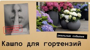 Муки выбора кашпо для гортензий 🌿🌺