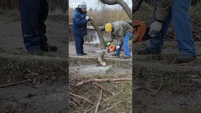 Участники молодежного субботника убрали территорию вокруг Бобровского озера