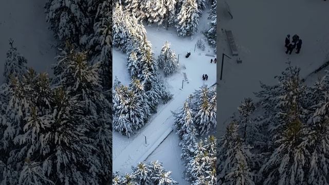 Югра: Тайна и красота северной природы