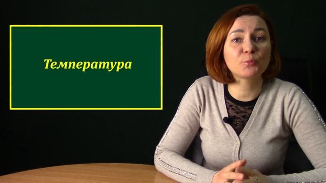 ПОЗАКОРЕНЕВЕ ПІДЖИВЛЕННЯ: фактори впливу на ЕФЕКТИВНІСТЬ