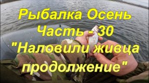 Рыбалка. Осень. Часть - 30. "Наловили живца продолжение".