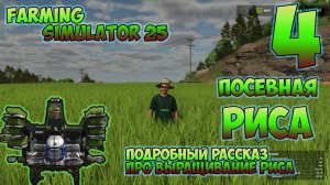 Farming Simulator 25► сею РИС ► складирую урожай ►четвертая серия