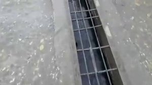 В Чечне вместо воды идет нефть