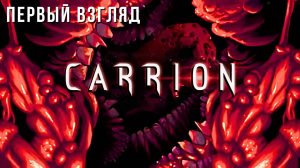 CARRION | ПЕРВЫЙ ВЗГЛЯД 😮