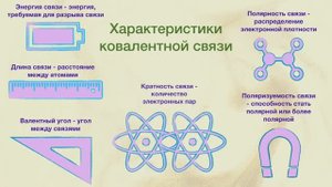 Органическая Химия. Лекция 4. Ковалентная связь, классификация органических реакций и соединений